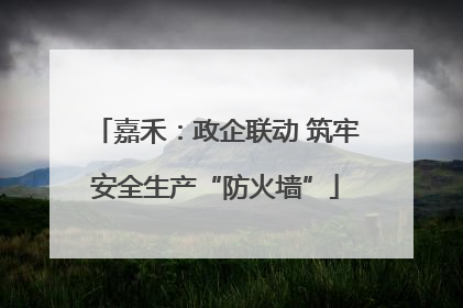 嘉禾：政企联动 筑牢安全生产“防火墙”